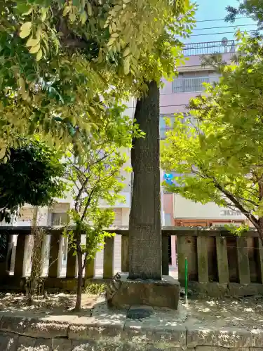 橘樹神社(神奈川県)