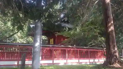 冨士御室浅間神社(山梨県)