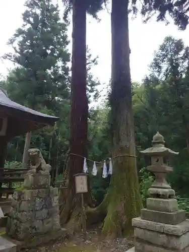 石楯尾神社の自然