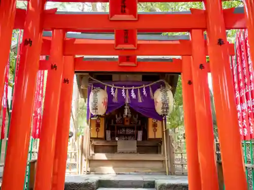 大宮八幡宮の{uncategorized: "未分類", other: "その他", undefined: "問題あり", building: "その他建物", grave: "お墓", sacred_gate: "鳥居", guardian: "狛犬", statue: "像", buddha: "仏像", history: "歴史", nature: "自然", garden: "庭園", animal: "動物", pagoda: "塔", temizu: "手水舎", mountain_gate: "山門・神門", sanctuary: "本殿・本堂", subordinate: "末社・摂社", art: "芸術", scenery: "景色", jizo: "地蔵", ema: "絵馬", goshuin: "御朱印", omikuji: "おみくじ", items: "授与品その他", amulet: "お守り", goshuincho: "御朱印帳", eats: "食事", festival: "お祭り", votive_dance: "神楽", shichigosan: "七五三参", wedding: "結婚式", experience: "体験その他", initially: "初詣", around: "周辺", anti_infection: "感染症対策"}
