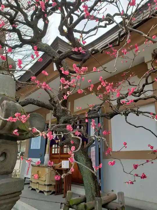 穏田神社(東京都)