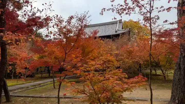 興聖寺(京都府)