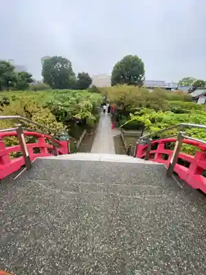 亀戸天神社(東京都)