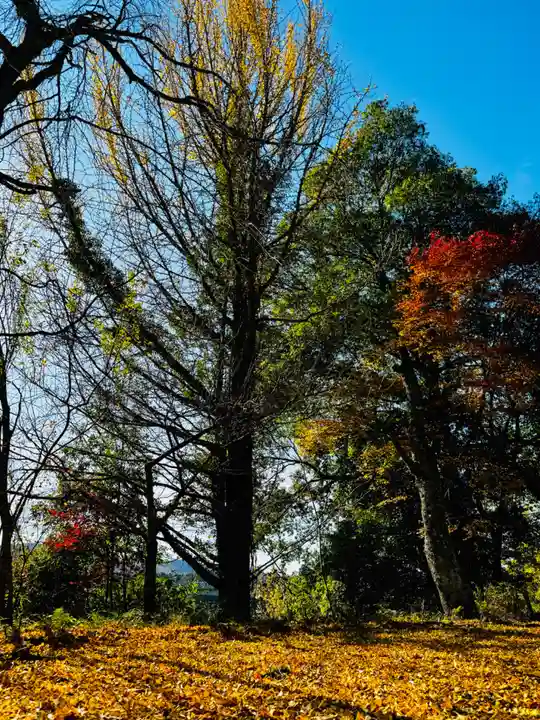 安国寺(京都府)