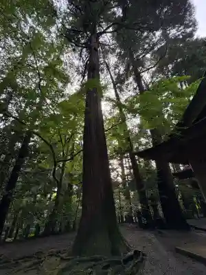 槵觸神社(宮崎県)