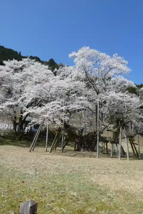 淡墨観音(岐阜県)