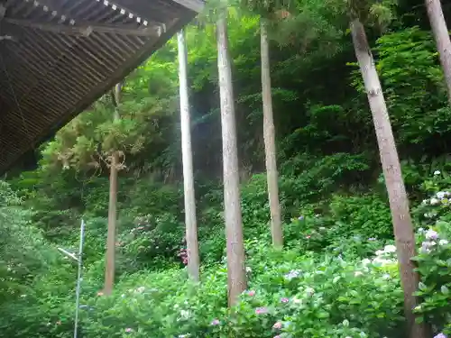 御霊神社の自然