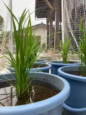 總社 和田八幡宮(福井県)