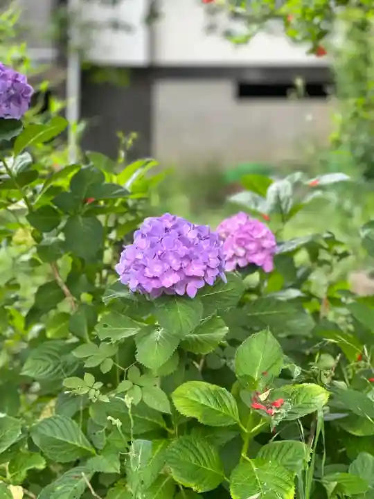 法岩院(千葉県)