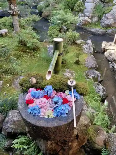 柳谷観音　楊谷寺(京都府)