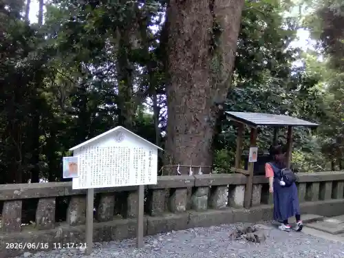 久能山東照宮(静岡県)