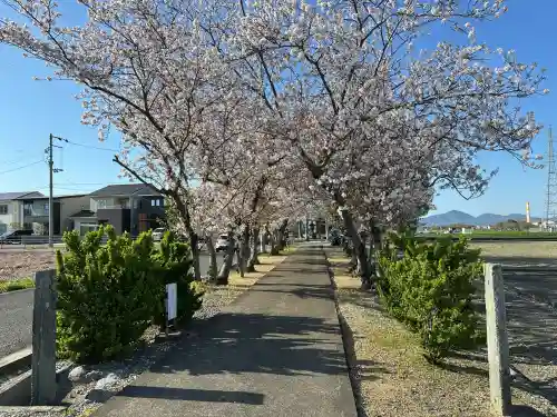 王子和多津美神社の{uncategorized: "未分類", other: "その他", undefined: "問題あり", building: "その他建物", grave: "お墓", sacred_gate: "鳥居", guardian: "狛犬", statue: "像", buddha: "仏像", history: "歴史", nature: "自然", garden: "庭園", animal: "動物", pagoda: "塔", temizu: "手水舎", mountain_gate: "山門・神門", sanctuary: "本殿・本堂", subordinate: "末社・摂社", art: "芸術", scenery: "景色", jizo: "地蔵", ema: "絵馬", goshuin: "御朱印", omikuji: "おみくじ", items: "授与品その他", amulet: "お守り", goshuincho: "御朱印帳", eats: "食事", festival: "お祭り", votive_dance: "神楽", shichigosan: "七五三参", wedding: "結婚式", experience: "体験その他", initially: "初詣", around: "周辺", anti_infection: "感染症対策"}