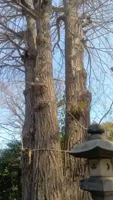 葛西神社(東京都)