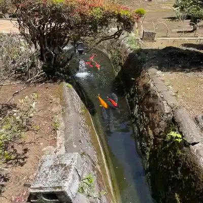 神野寺(千葉県)