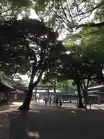 明治神宮の自然