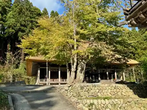 慈恩寺の{uncategorized: "未分類", other: "その他", undefined: "問題あり", building: "その他建物", grave: "お墓", sacred_gate: "鳥居", guardian: "狛犬", statue: "像", buddha: "仏像", history: "歴史", nature: "自然", garden: "庭園", animal: "動物", pagoda: "塔", temizu: "手水舎", mountain_gate: "山門・神門", sanctuary: "本殿・本堂", subordinate: "末社・摂社", art: "芸術", scenery: "景色", jizo: "地蔵", ema: "絵馬", goshuin: "御朱印", omikuji: "おみくじ", items: "授与品その他", amulet: "お守り", goshuincho: "御朱印帳", eats: "食事", festival: "お祭り", votive_dance: "神楽", shichigosan: "七五三参", wedding: "結婚式", experience: "体験その他", initially: "初詣", around: "周辺", anti_infection: "感染症対策"}