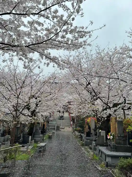 浄心寺(東京都)
