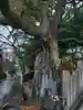 東雲神社(愛媛県)
