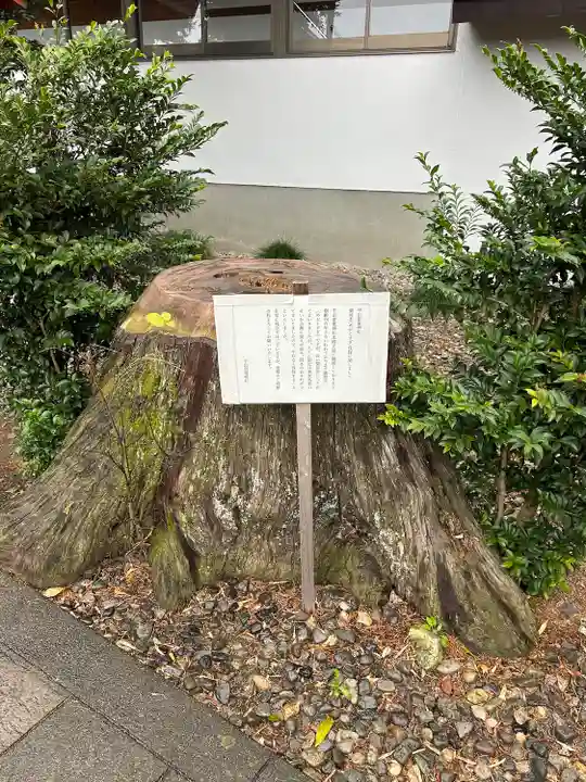 平出雷電神社(栃木県)