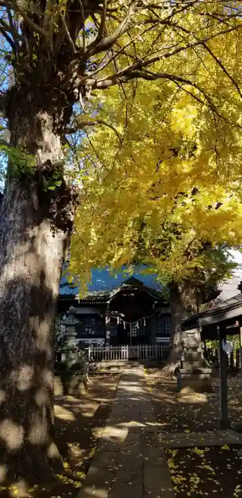 日枝神社の本殿・本堂