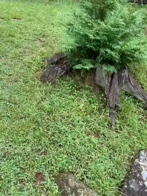 新海三社神社(長野県)
