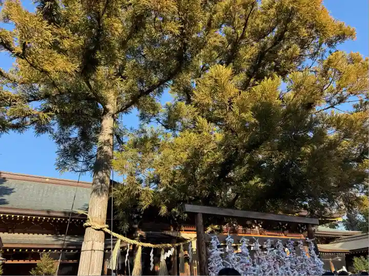 寒川神社(神奈川県)