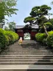 護国寺(東京都)