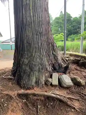 六所神社(千葉県)
