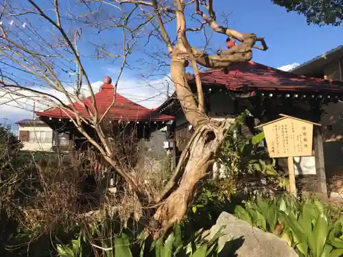 長福寺(神奈川県)