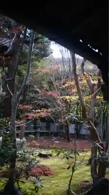 蓮華寺（洛北蓮華寺）(京都府)
