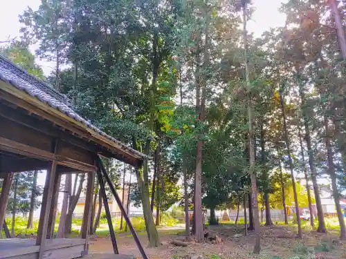 成海神社（羽黒八幡宮）の自然
