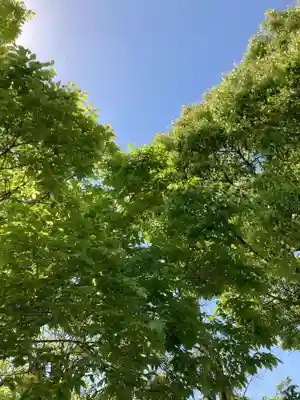 總社 和田八幡宮(福井県)