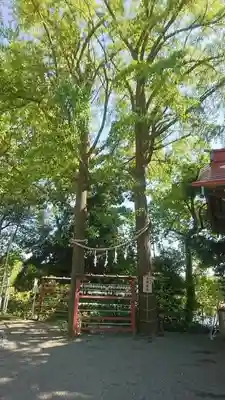 多摩川浅間神社のその他建物