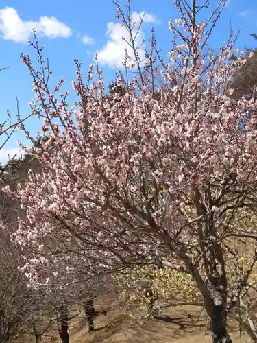 宝登山神社奥宮(埼玉県)