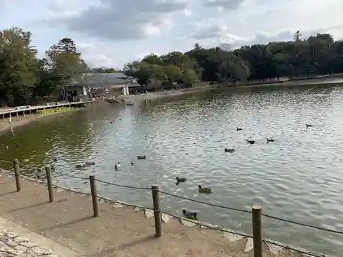 橿原神宮(奈良県)