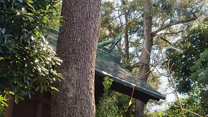 荏原神社の自然