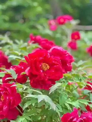 蚊里田八幡宮(長野県)