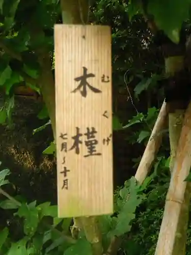 長谷寺のその他建物