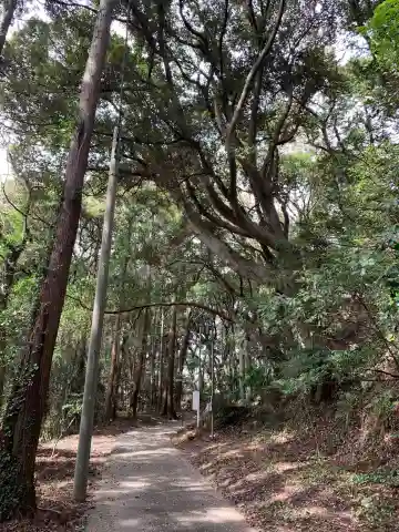 稲荷神社(千葉県)