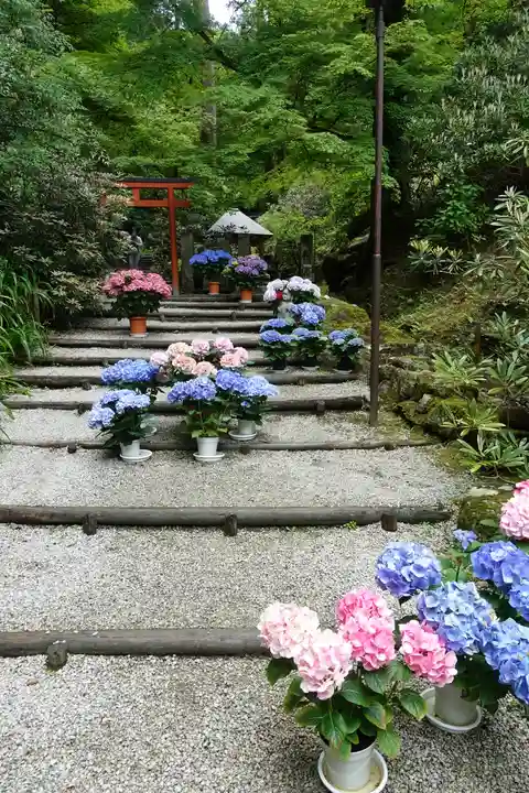 岡寺(龍蓋寺)のその他建物