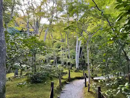 祇王寺(京都府)