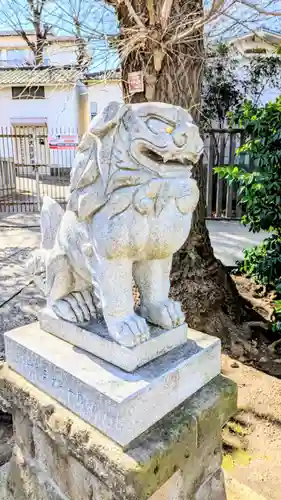 滝野川八幡神社の狛犬