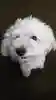 たけのこ8さんのプロフィール画像