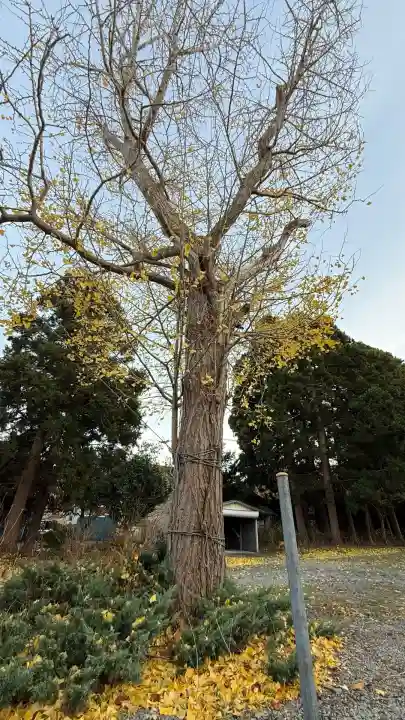 尾札部稲荷神社(北海道)