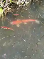 千手院(栃木県)