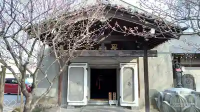 秩父札所十三番 慈眼寺の本殿・本堂