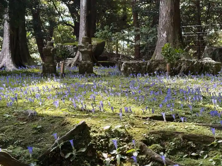 阿弥陀寺(和歌山県)