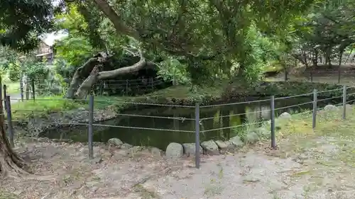 館山神社の庭園