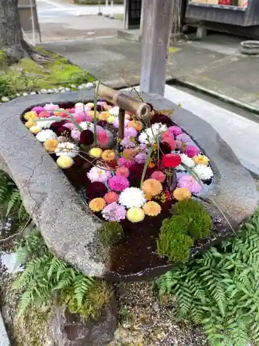 荘内神社の手水舎