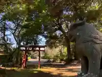 野田神社の狛犬